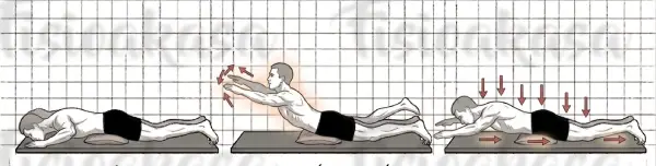 Lumbar brazos y tronco adelante